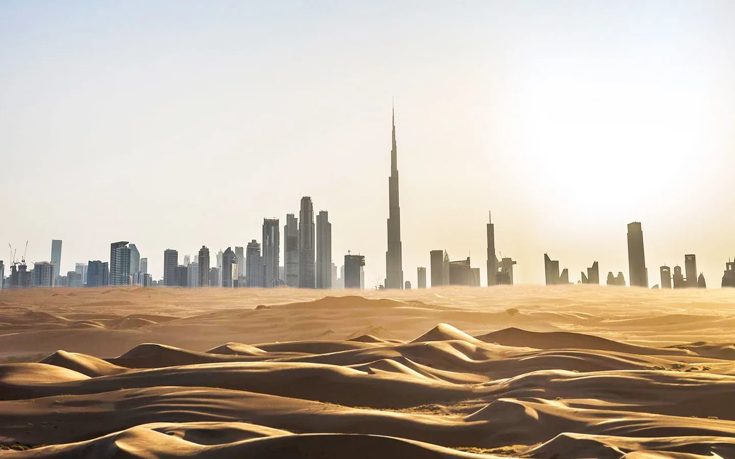 Arabian-Desert-Body-03-20210517.jpg