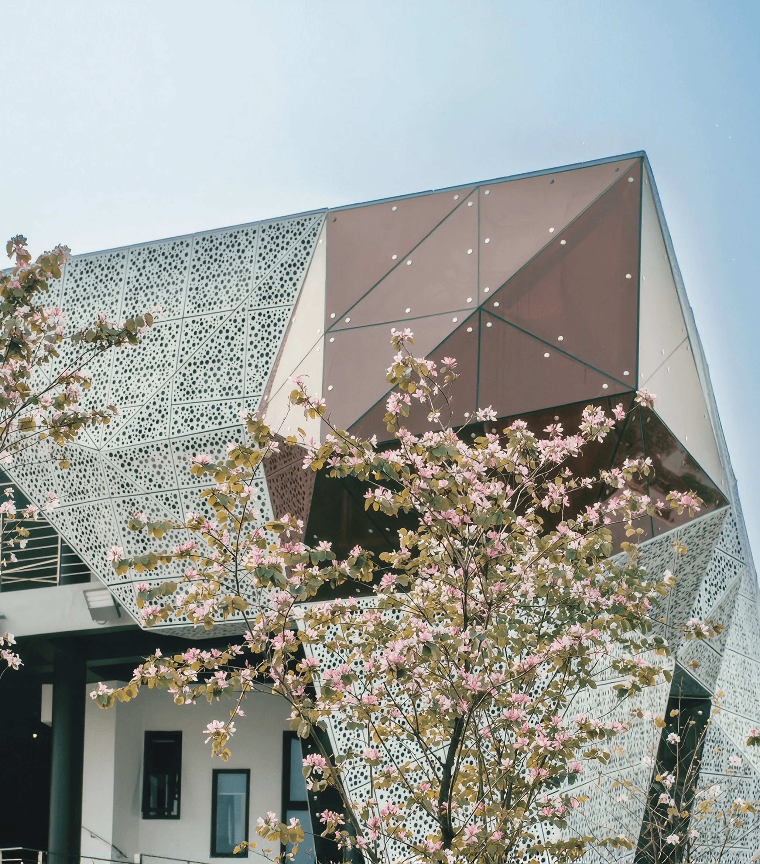 BUV campus building with modern geometric façade and pink blossoms, showcasing British University Vietnam architecture