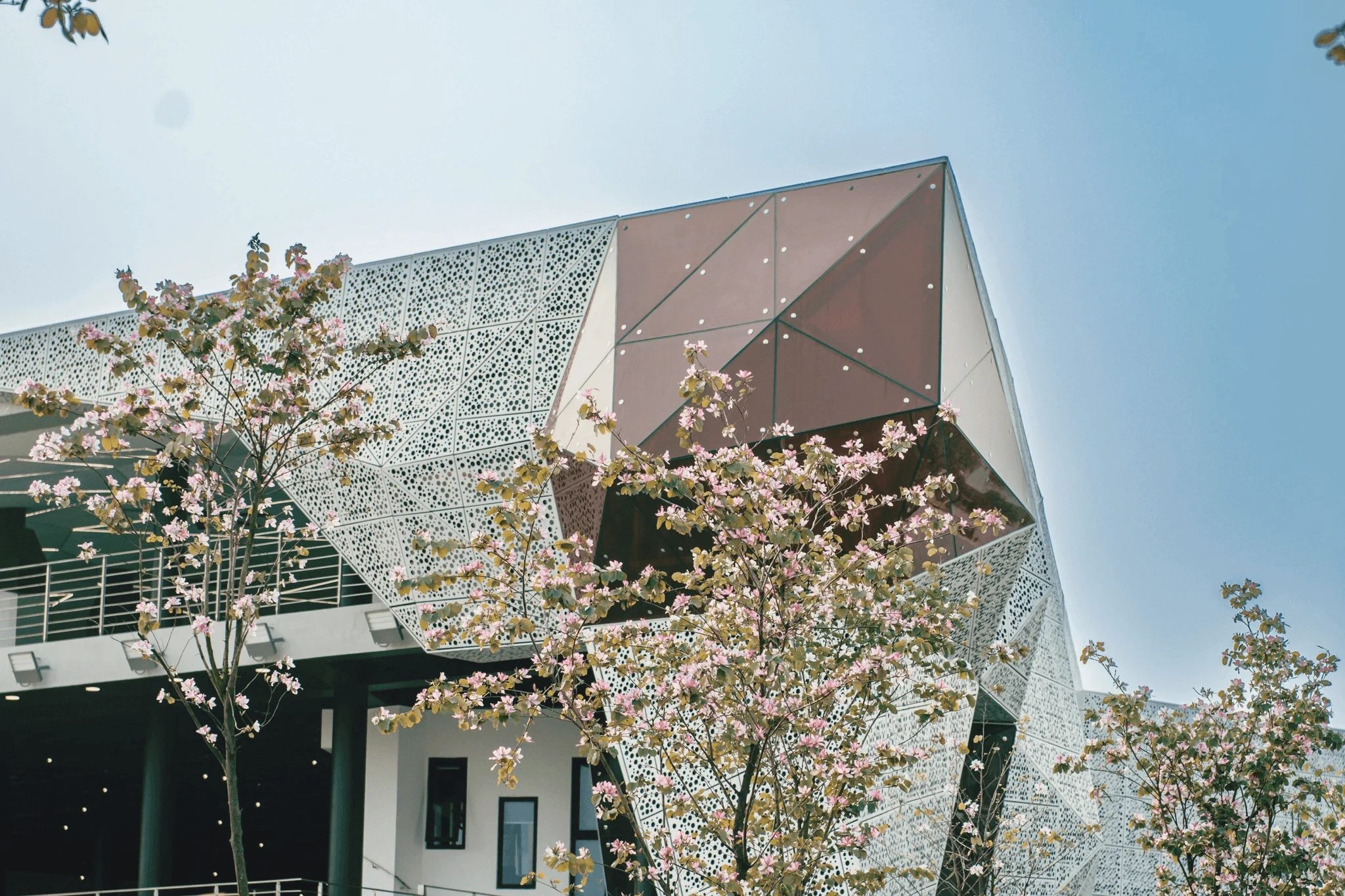 Modern angular university building with patterned facade, surrounded by blooming pink cherry blossom trees under a clear blue sky.