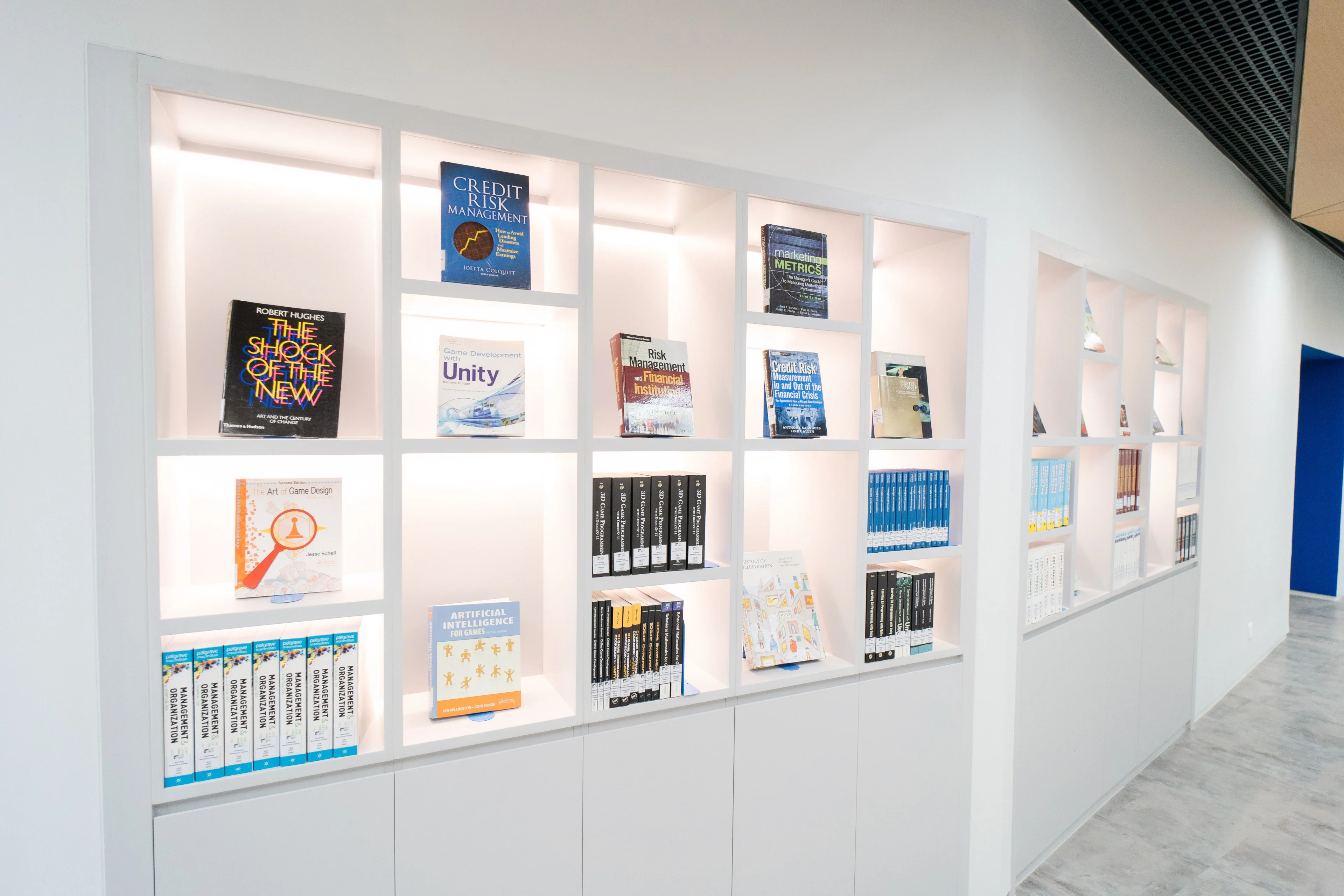 BUV library bookshelves displaying finance, risk management, game design, and artificial intelligence textbooks