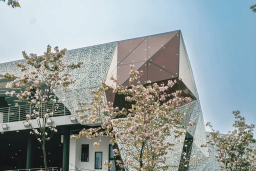 Modern British University Vietnam (BUV) campus building with geometric architecture and blooming pink trees