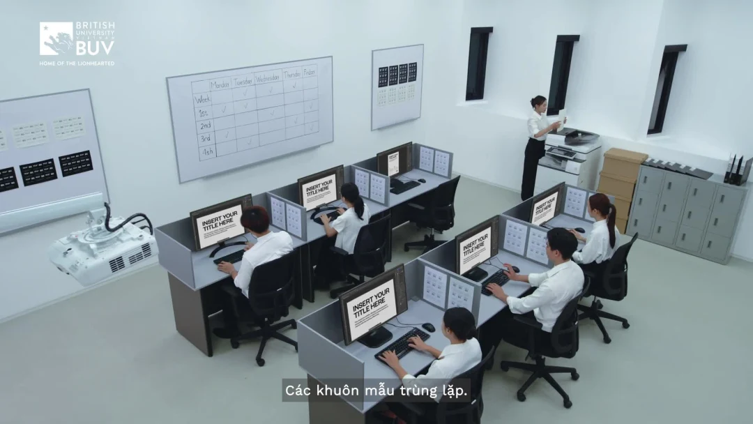 Programme video