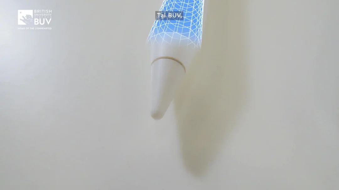 Video chương trình học