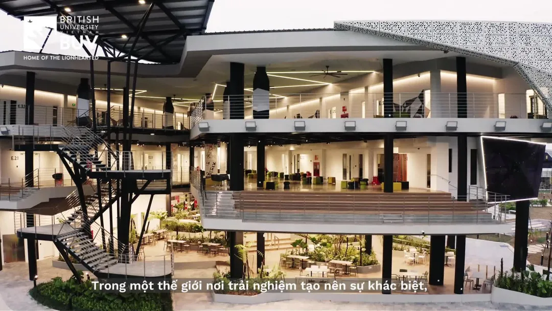 Programme video